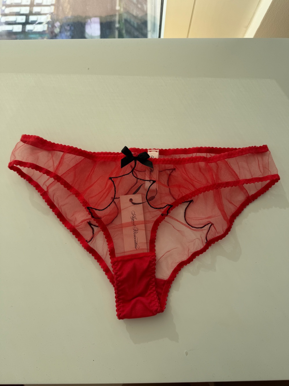 Agent Provocateur Lorna Red Sheer Bikini Panty with Black Embroidery AP size 4